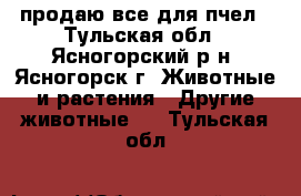 продаю все для пчел - Тульская обл., Ясногорский р-н, Ясногорск г. Животные и растения » Другие животные   . Тульская обл.